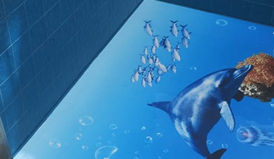 DELFIN AZUL PORTADA web