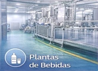 plantas-bebidas