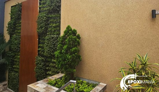 portada PDecorativa 7mayo